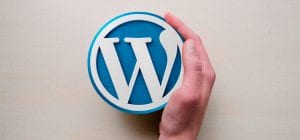 Lee más sobre el artículo Ventajas de una web economica con WordPress